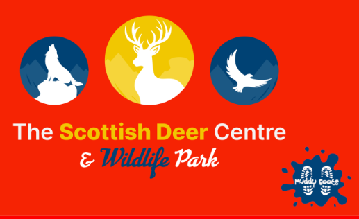 Scottish Deer center logo